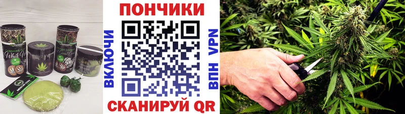 наркота  Беломорск  Canna-Cookies марихуана 