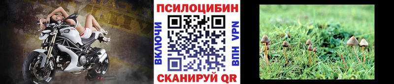 blacksprut ссылка  купить наркоту  Беломорск  Псилоцибиновые грибы Magic Shrooms 